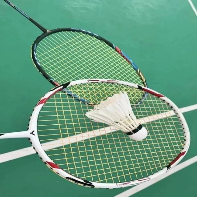 菲尼克斯太阳队赛季关键战力争季后赛席位